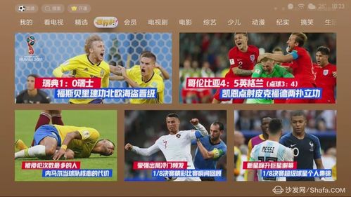 世界杯在线直播官网
